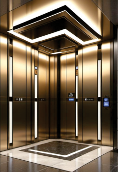 VIP luxury elevator cabin